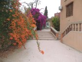 Vente Villa Marrakech Guéliz