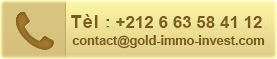 gold immo invest